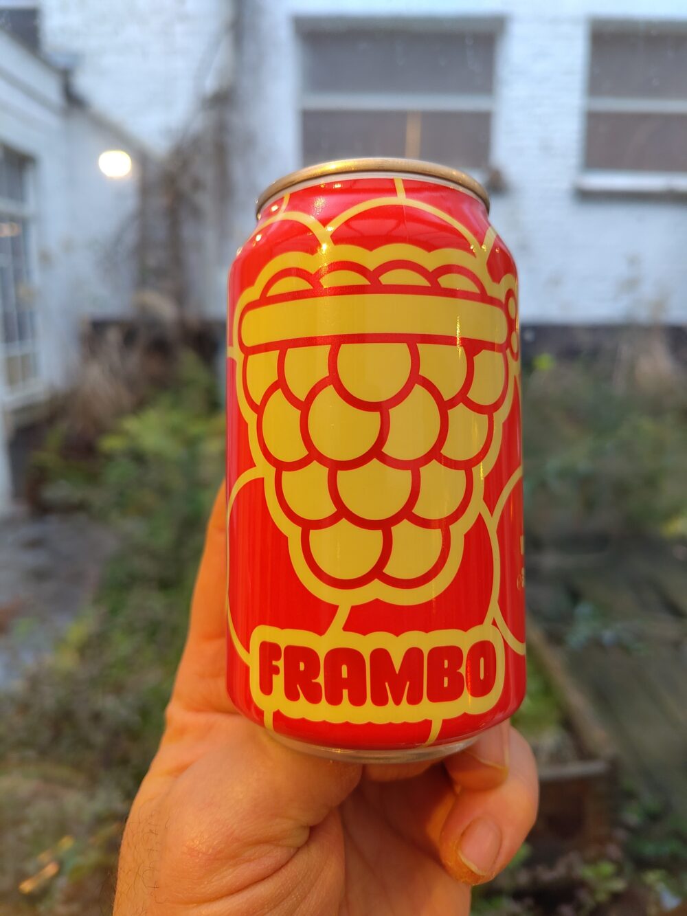 DOK Frambo front