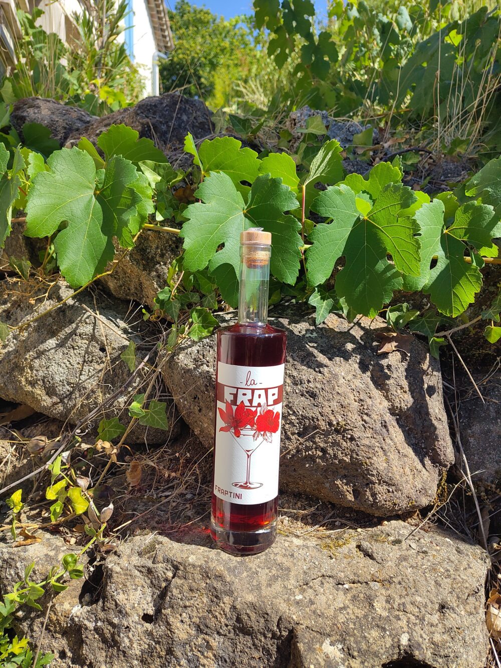 La Frap Fraptini