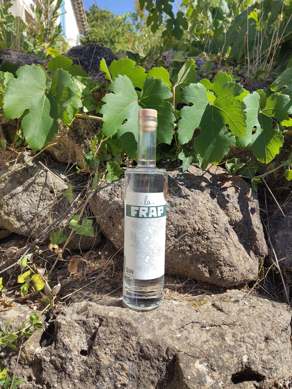 La Frap Gin d Ardèche