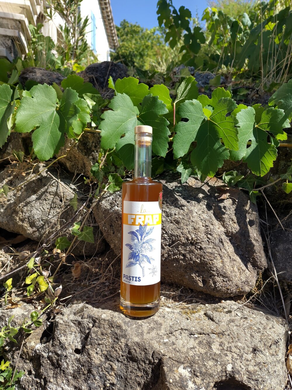 La Frap Pastis d Ardèche