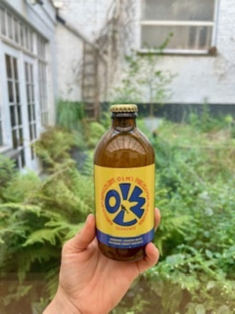 Olmi Ginger beer front