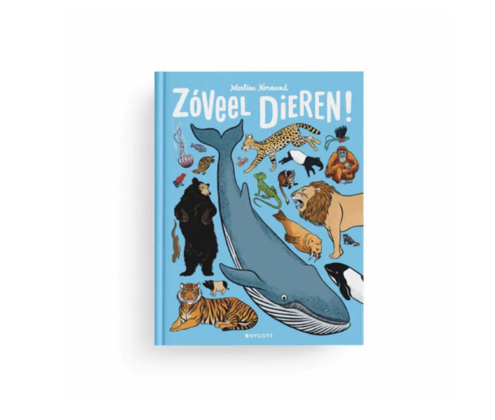 Schermafbeelding 2025 10 20 om 12 54 27