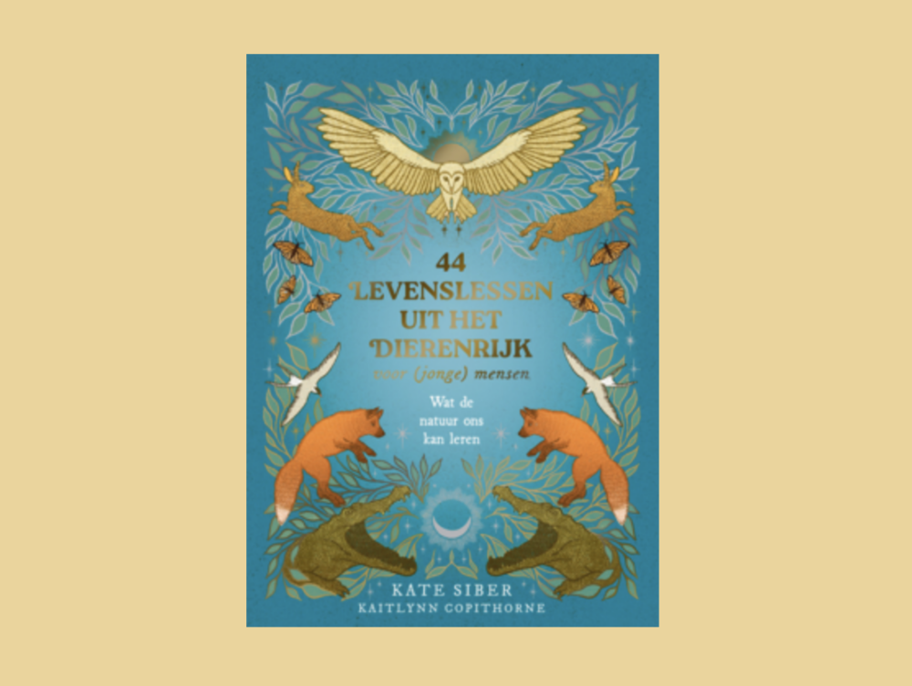 Schermafbeelding 2026 02 24 om 15 53 29