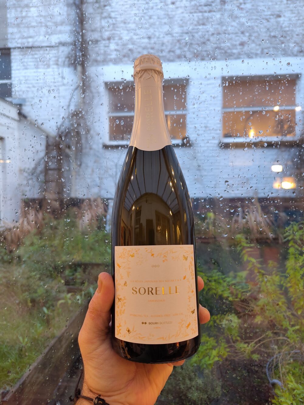 Sorelle Osmanthus front