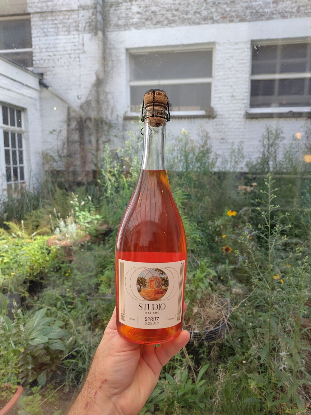 Studio Italiano Spritz front