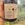 Feral n 5 Rosé aronia verbena nettle back