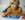 Schermafbeelding 2025 06 19 om 14 03 37
