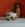 Schermafbeelding 2025 09 25 om 17 04 31