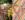 Schermafbeelding 2026 08 28 om 16 01 55